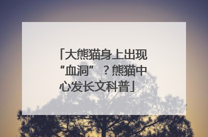 大熊猫身上出现“血洞”？熊猫中心发长文科普