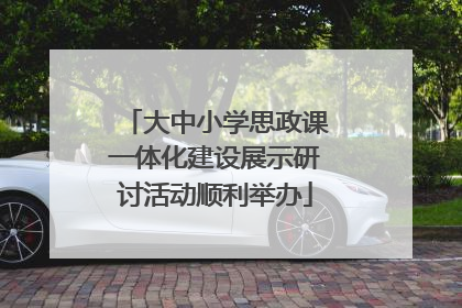 大中小学思政课一体化建设展示研讨活动顺利举办