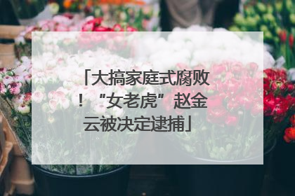 大搞家庭式腐败！“女老虎”赵金云被决定逮捕