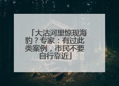 大沽河里惊现海豹？专家：有过此类案例，市民不要自行靠近