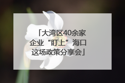 大湾区40余家企业“盯上”海口这场政策分享会