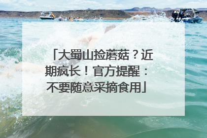 大蜀山捡蘑菇？近期疯长！官方提醒：不要随意采摘食用