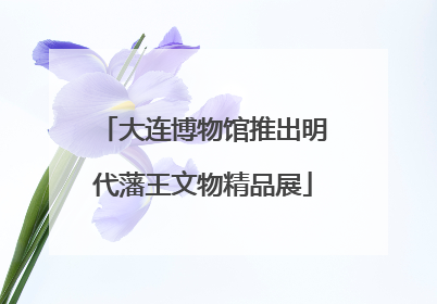 大连博物馆推出明代藩王文物精品展