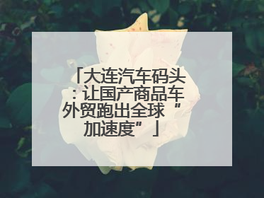 大连汽车码头：让国产商品车外贸跑出全球“加速度”