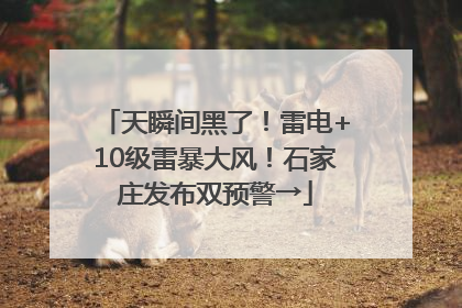 天瞬间黑了！雷电+10级雷暴大风！石家庄发布双预警→