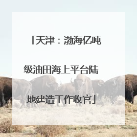 天津：渤海亿吨级油田海上平台陆地建造工作收官