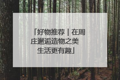 好物推荐｜在周庄邂逅造物之美 生活更有趣