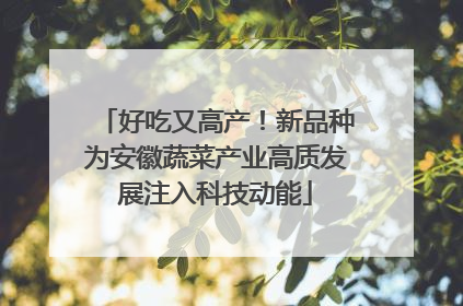 好吃又高产！新品种为安徽蔬菜产业高质发展注入科技动能