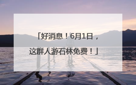 好消息！6月1日，这群人游石林免费！
