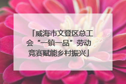 威海市文登区总工会“一镇一品”劳动竞赛赋能乡村振兴