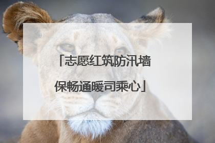 志愿红筑防汛墙 保畅通暖司乘心