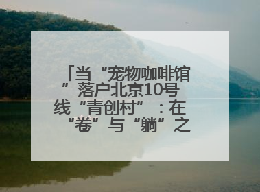 当“宠物咖啡馆”落户北京10号线“青创村”：在“卷”与“躺”之间，他们找到了第三种生活公式