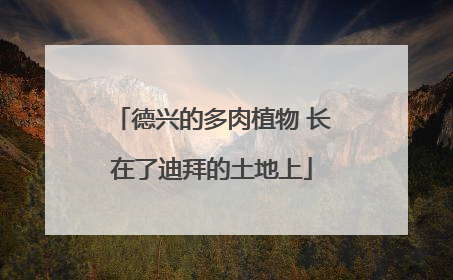 德兴的多肉植物 长在了迪拜的土地上