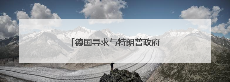 德国寻求与特朗普政府协调涉乌克兰问题立场