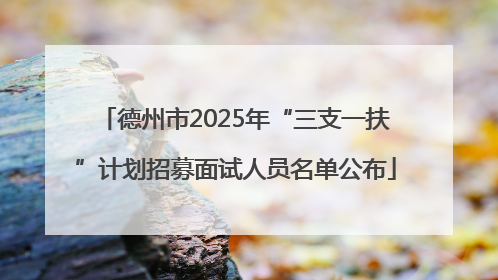 德州市2025年“三支一扶”计划招募面试人员名单公布