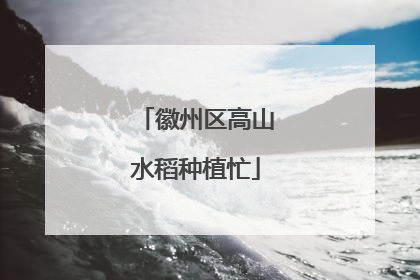徽州区高山水稻种植忙