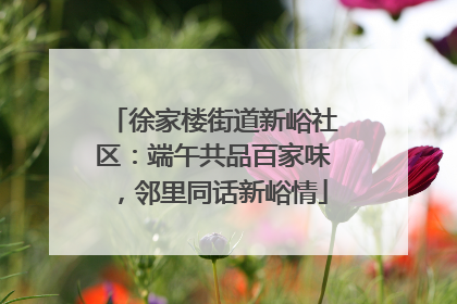 徐家楼街道新峪社区：端午共品百家味，邻里同话新峪情