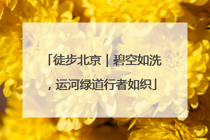 徒步北京｜碧空如洗，运河绿道行者如织