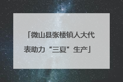 微山县张楼镇人大代表助力“三夏”生产