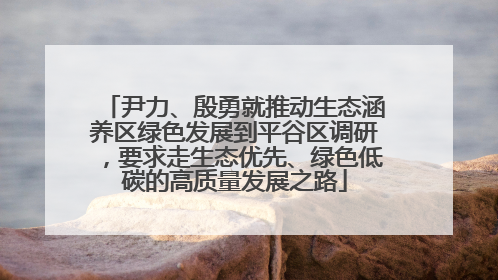 尹力、殷勇就推动生态涵养区绿色发展到平谷区调研，要求走生态优先、绿色低碳的高质量发展之路