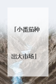 小番茄种出大市场