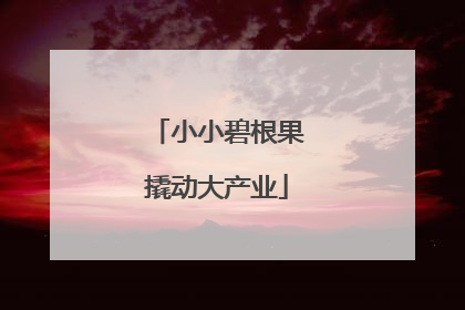 小小碧根果撬动大产业