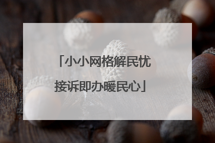 小小网格解民忧 接诉即办暖民心