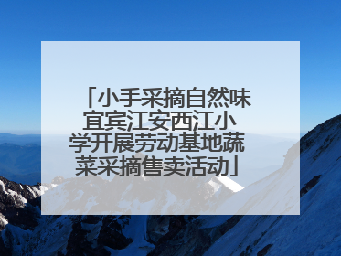 小手采摘自然味 宜宾江安西江小学开展劳动基地蔬菜采摘售卖活动