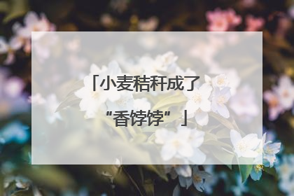 小麦秸秆成了“香饽饽”