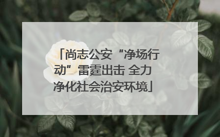 尚志公安“净场行动”雷霆出击 全力净化社会治安环境