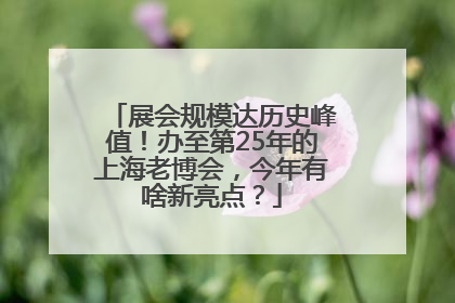 展会规模达历史峰值！办至第25年的上海老博会，今年有啥新亮点？
