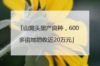 山窝头里产良种，600多亩地增收近20万元
