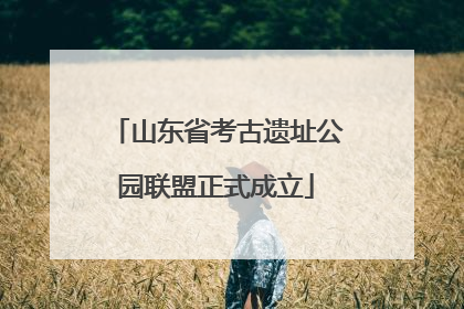 山东省考古遗址公园联盟正式成立