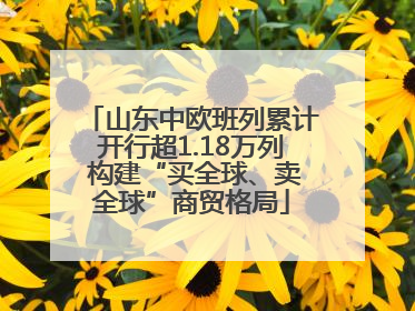 山东中欧班列累计开行超1.18万列 构建“买全球、卖全球”商贸格局
