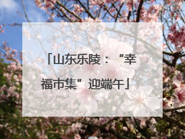 山东乐陵：“幸福市集”迎端午
