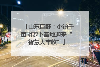 山东巨野：小镇千亩胡萝卜基地迎来“智慧大丰收”