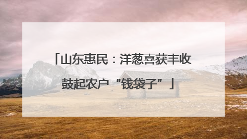 山东惠民：洋葱喜获丰收 鼓起农户“钱袋子”
