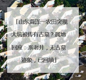 山东菏泽一农田突现大坑被传有古墓？属地回应：系老井，无古墓迹象，已回填