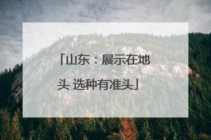 山东：展示在地头 选种有准头