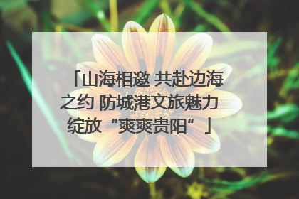 山海相邀 共赴边海之约 防城港文旅魅力绽放“爽爽贵阳”