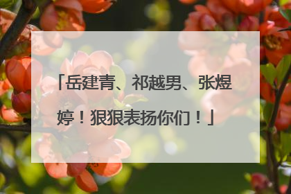 岳建青、祁越男、张煜婷！狠狠表扬你们！