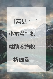 嵩县：“小蚕茧”织就助农增收新画卷