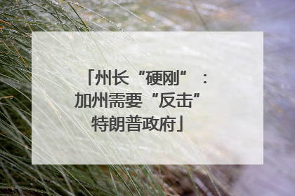 州长“硬刚”：加州需要“反击”特朗普政府