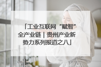 工业互联网“赋智”全产业链｜贵州产业新势力系列报道之八