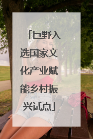 巨野入选国家文化产业赋能乡村振兴试点