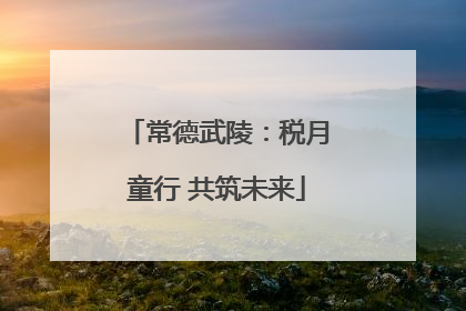 常德武陵：税月童行 共筑未来