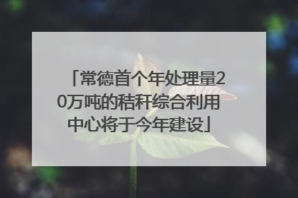 常德首个年处理量20万吨的秸秆综合利用中心将于今年建设