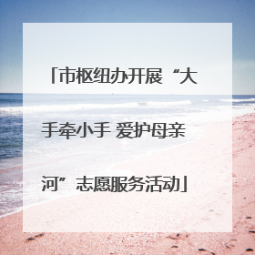 市枢纽办开展“大手牵小手 爱护母亲河”志愿服务活动