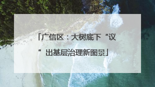 广信区：大树底下“议”出基层治理新图景