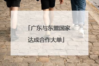 广东与东盟国家达成合作大单